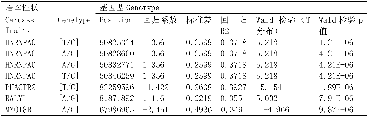 Red steppe cattle beef quality-related molecular marker and application thereof in meat quality identification