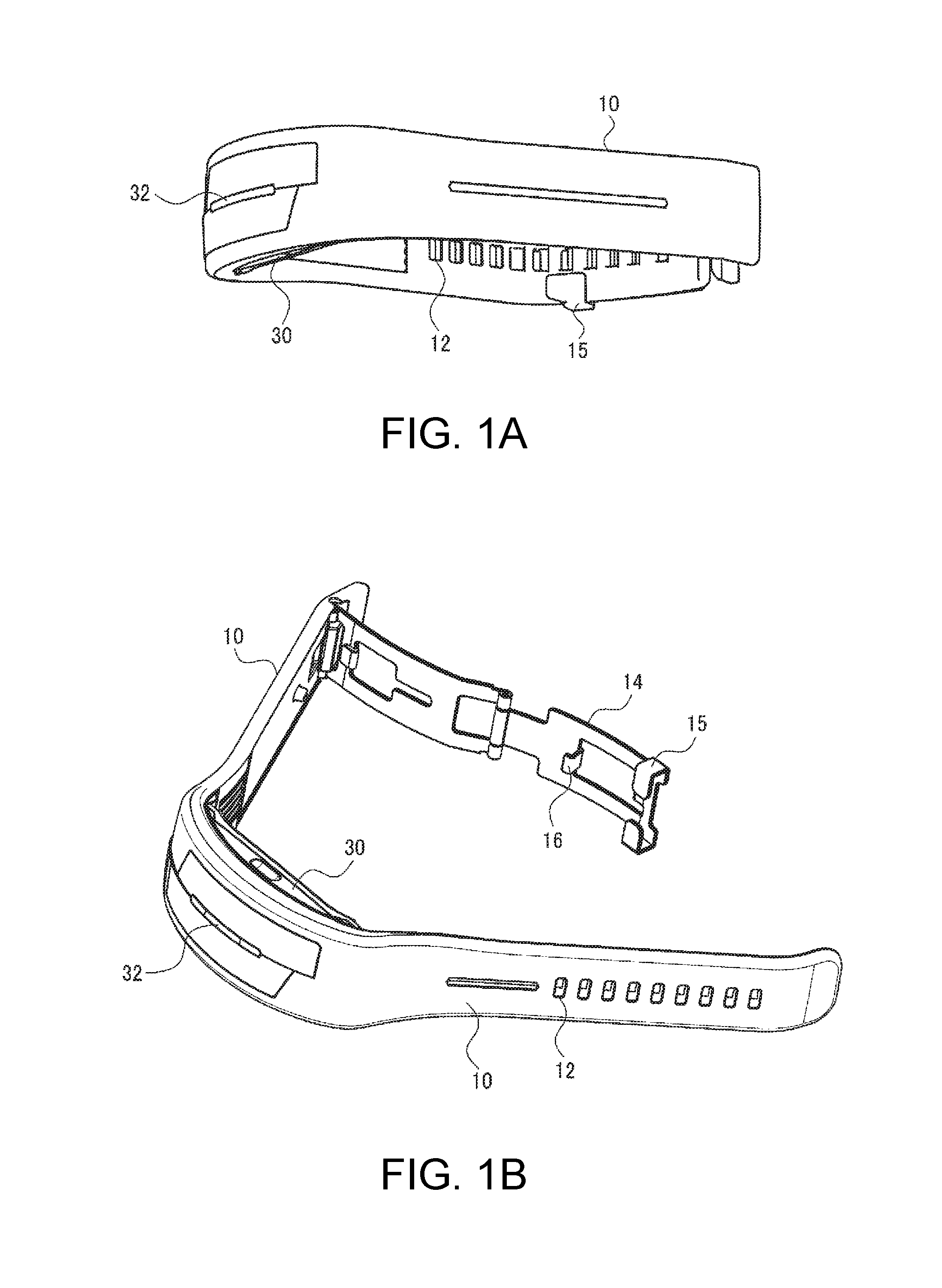 Biological information measuring module and biological information measuring apparatus