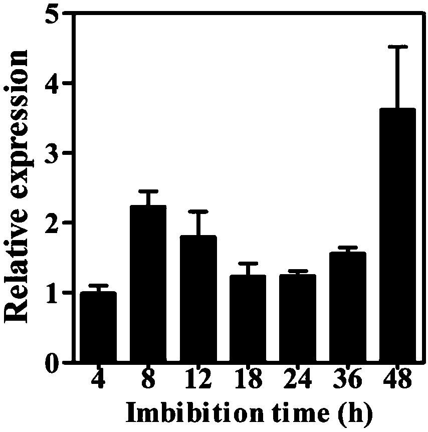 Application of rice alpha-isopropyl malate synthase gene