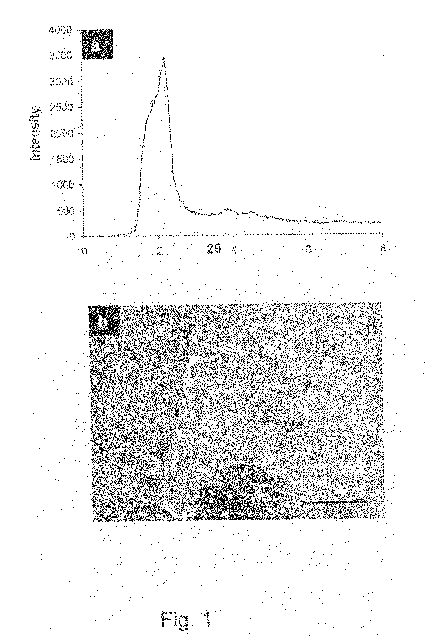 Method for manufacturing a nanoporous framework and a nanoporous framework thus produced