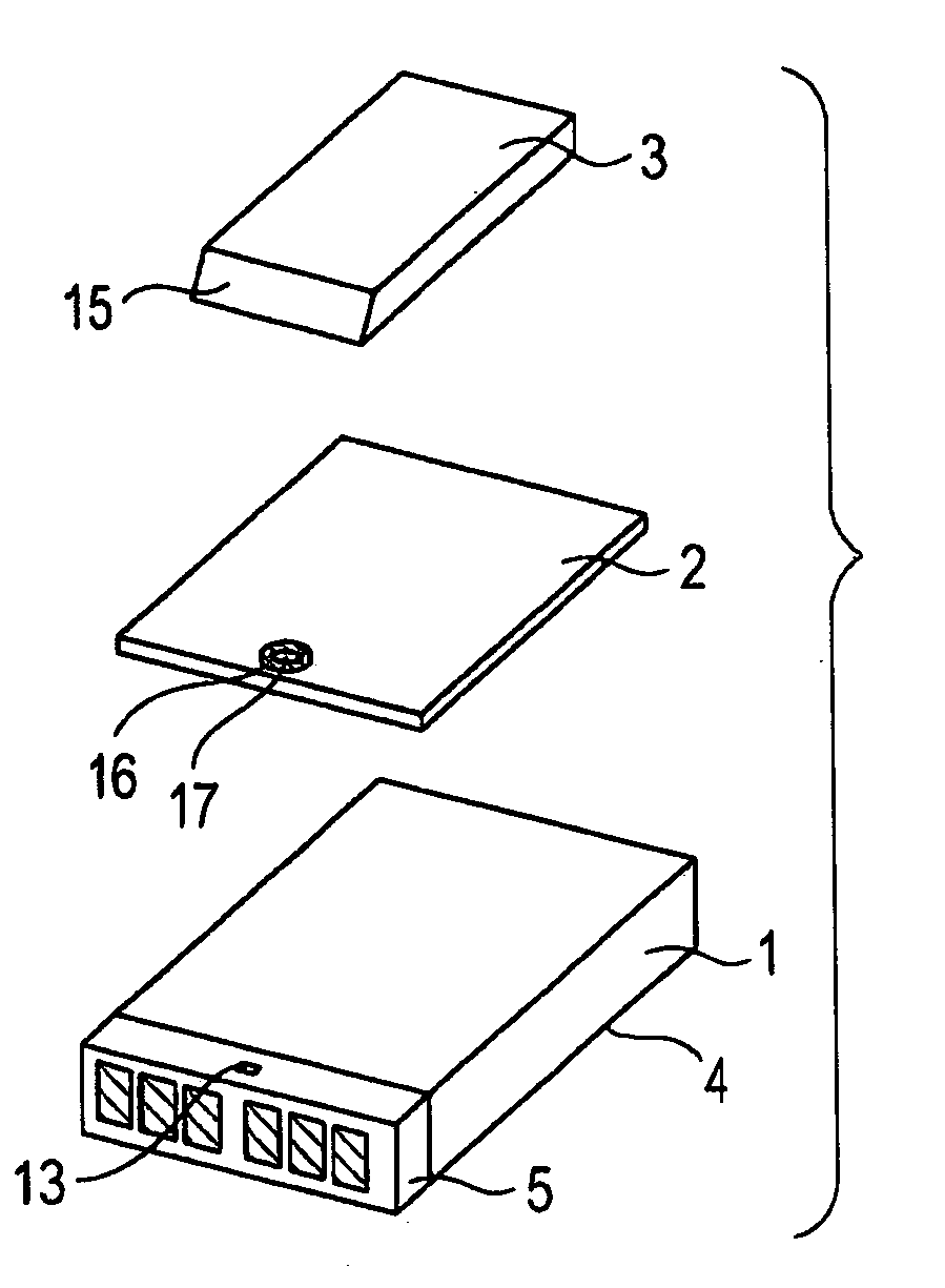 Thermally assisted magnetic head-slider and head-gimbal assembly