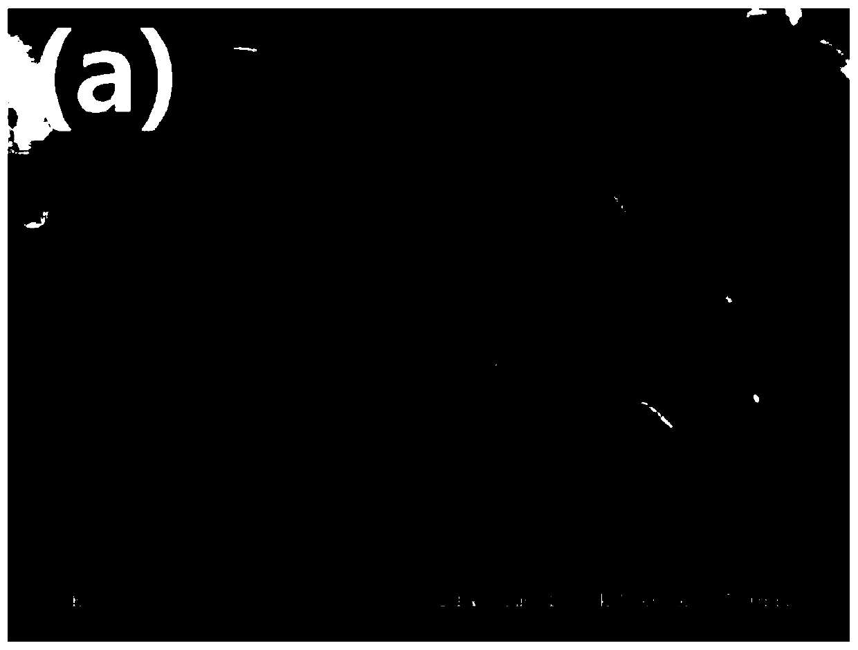 A lithium-rich positive electrode material/conductive flexible polymer composite material and its preparation method and application