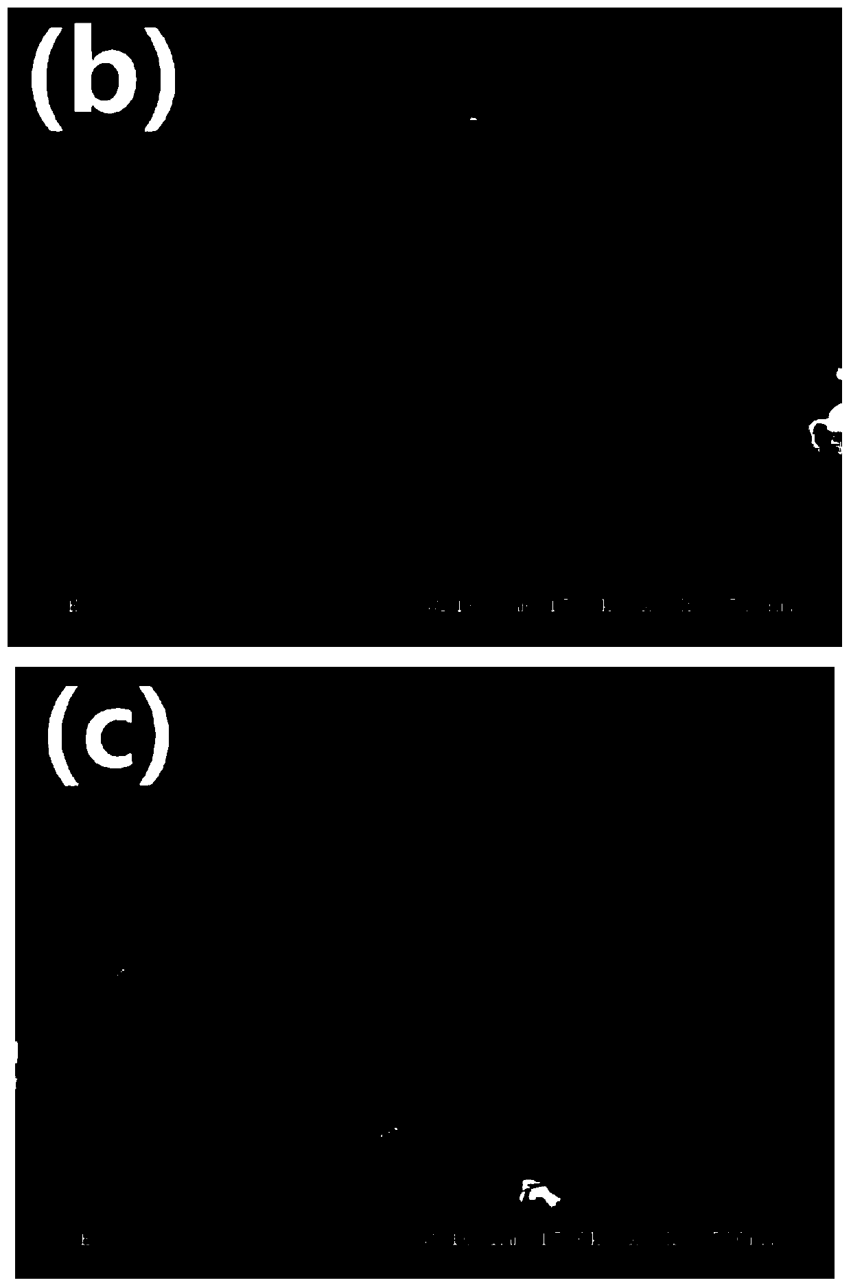 A lithium-rich positive electrode material/conductive flexible polymer composite material and its preparation method and application