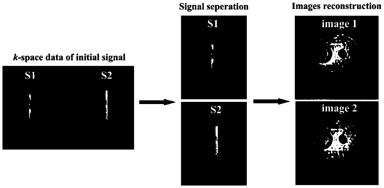 Multi-echo multi-slice spatio-temporal encoding magnetic resonance imaging method based on segmented excitation