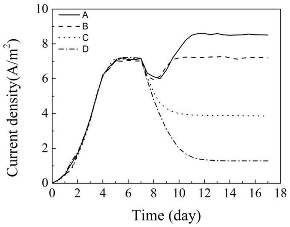 Working electrode for degrading petroleum hydrocarbons, device and application for degrading petroleum hydrocarbons