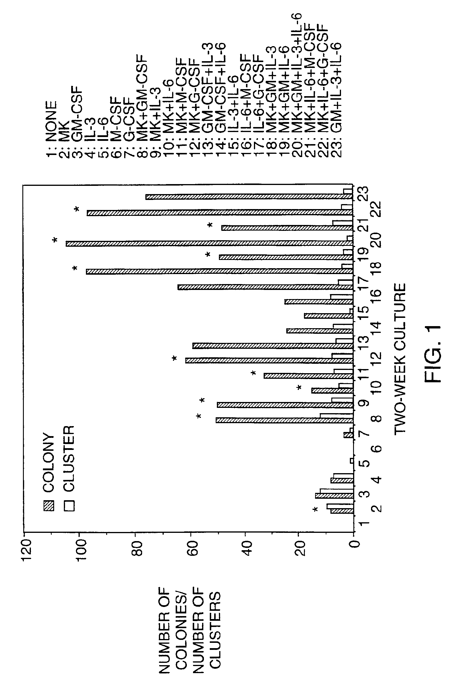 Expansion of hematopoietic cells using midkine or pleiotrophin