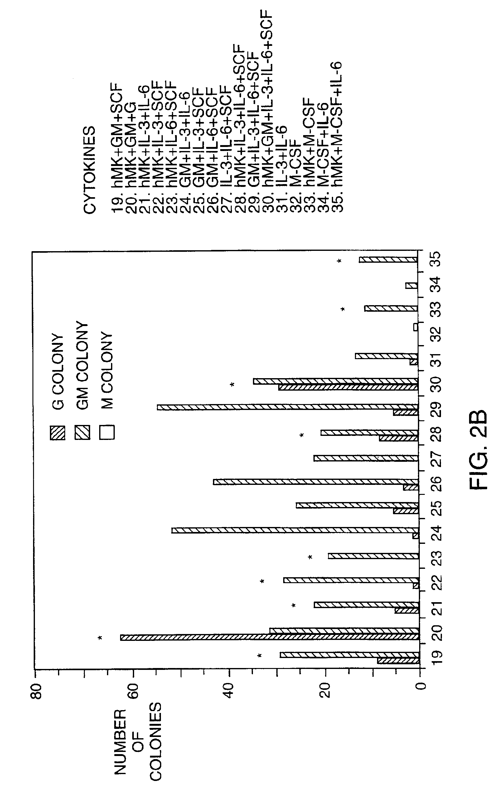 Expansion of hematopoietic cells using midkine or pleiotrophin