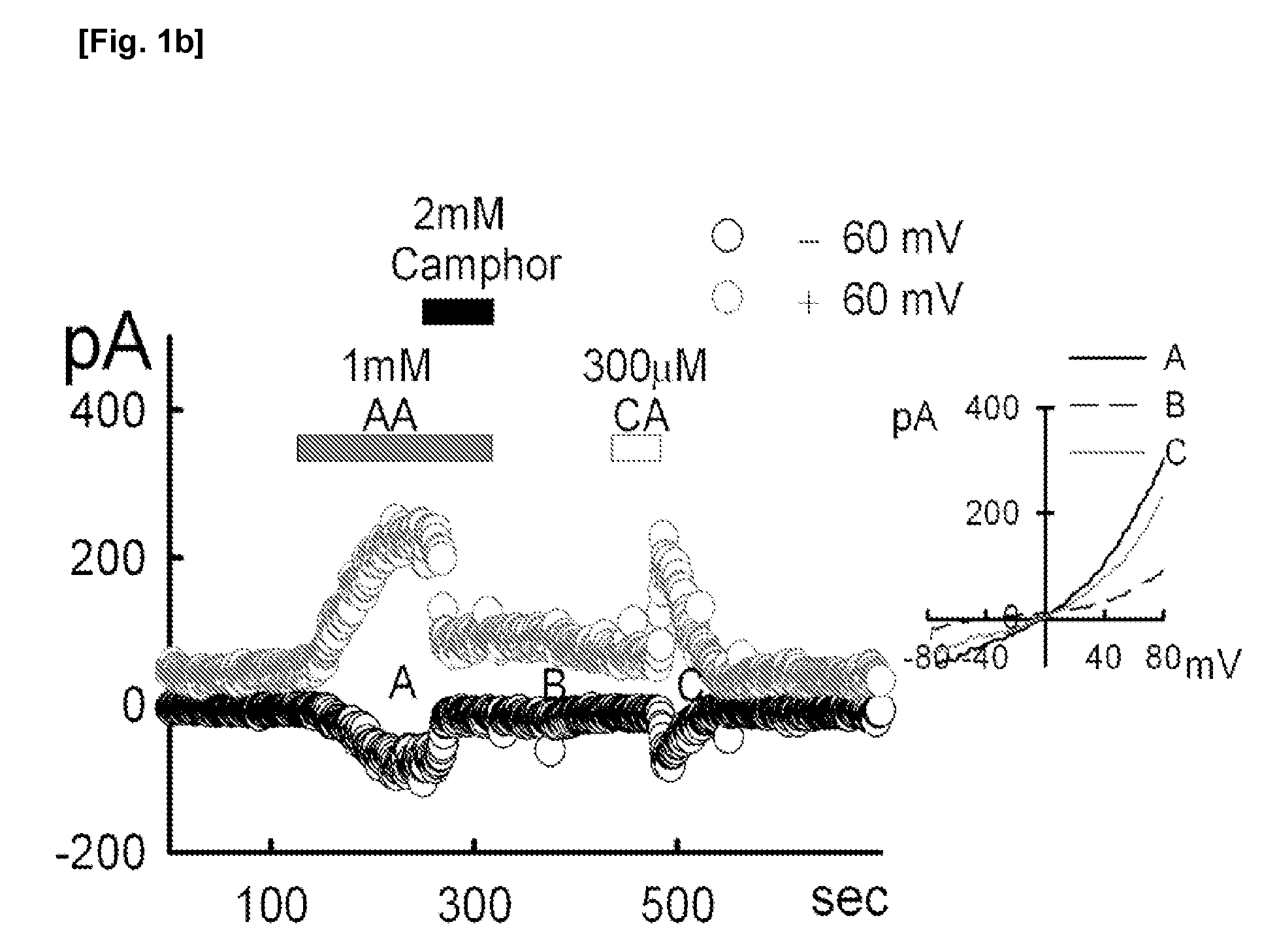 Method for activation of transient receptor potential cation channel, subfamily A, member 1 using acetaldehyde