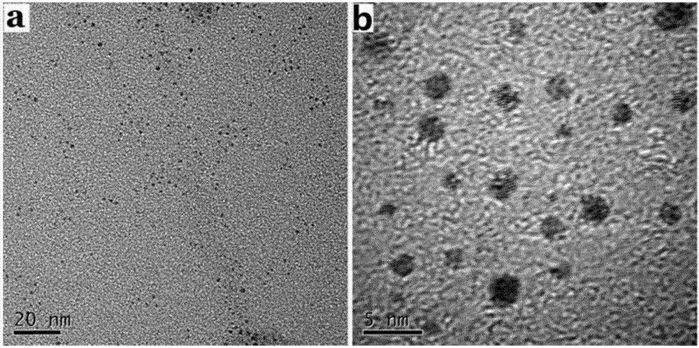 DNA functional gold nano-clusters (AuNCs) and preparation method thereof