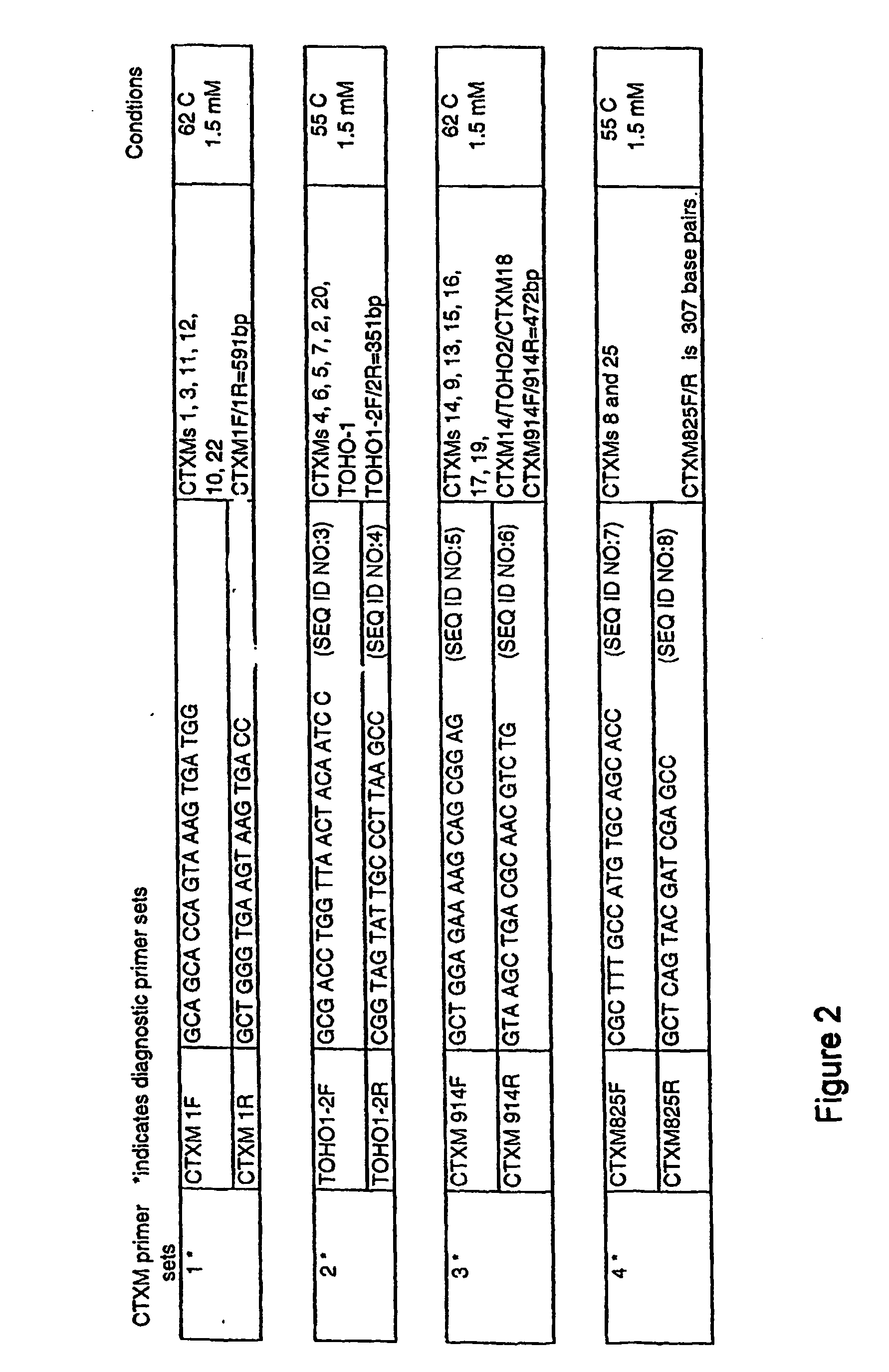 Primers for Use in Detecting Beta-Lactamases