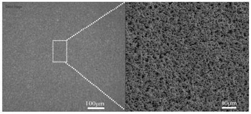 Preparation method of nano-silver paste for electric field driven jet micro-nano 3D printing