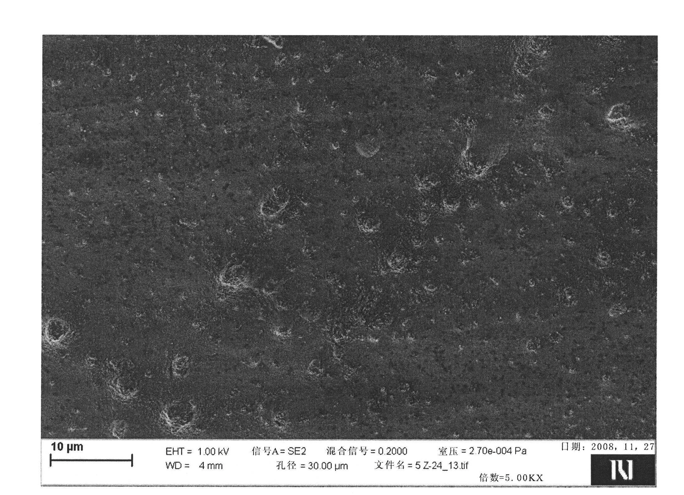 Coil-coated spectrally selective coatings on copper or aluminum with pigments modified by aminosilane