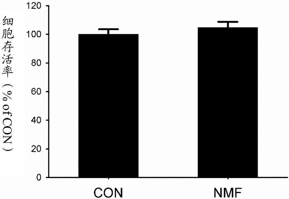 Application of neomangiferin in vascular endothelial cell protection