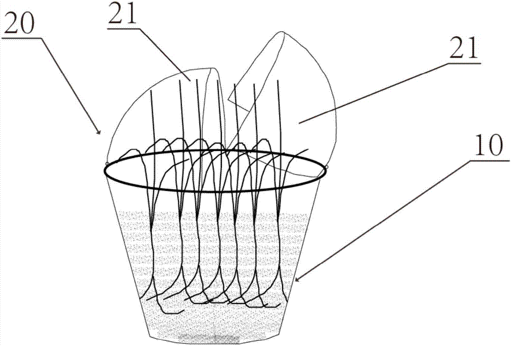 Thermal insulation flowerpot for planting plants and preparing method thereof