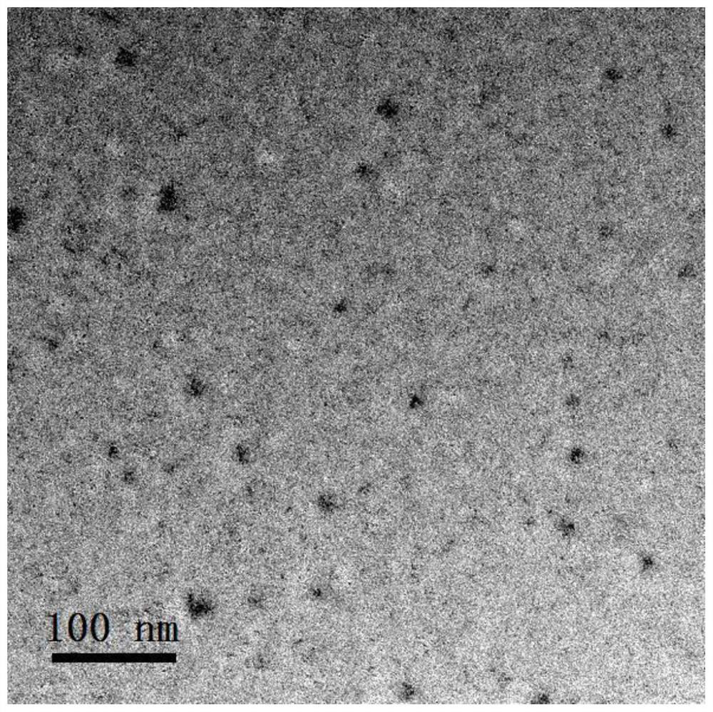 Method for rapidly preparing polyethyleneimine-tetrakis(hydroxymethyl)phosphonium chloride non-conjugated fluorescent polymer point at room temperature