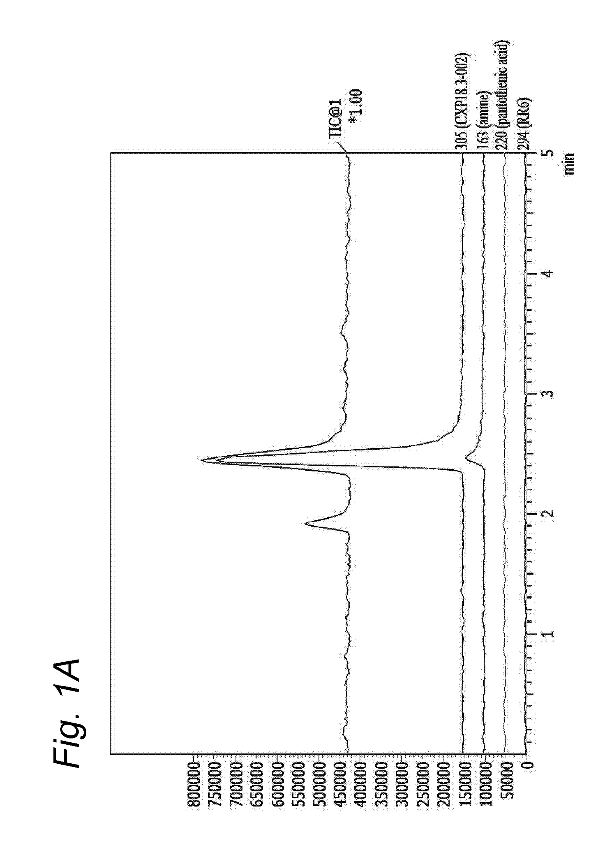 Pantothenamide Analogues