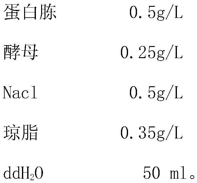 Device and method for quickly detecting environmental phage