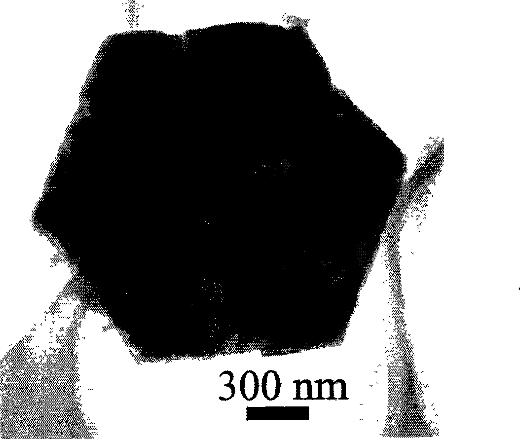 Quasi-hexagonal sheet calcium carbonate metastable-state crystal particle and method of preparing the same