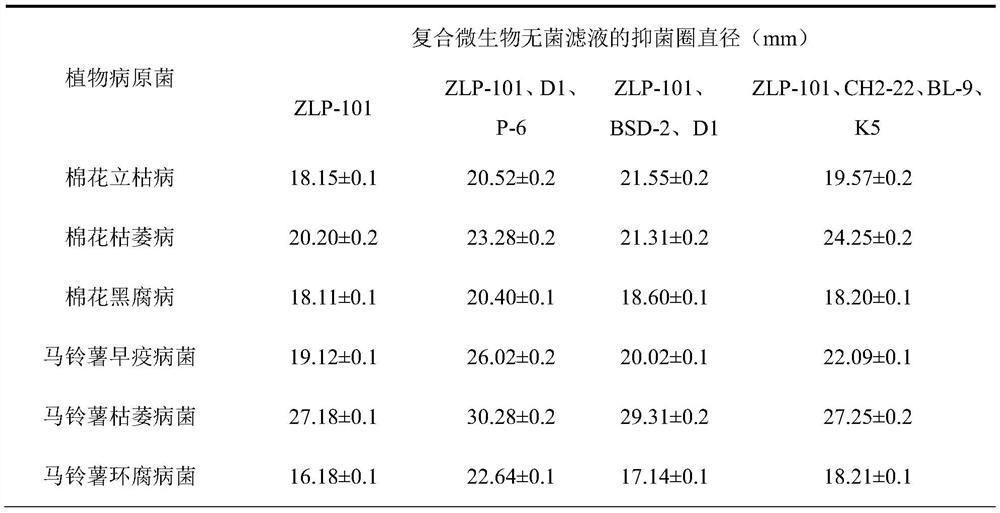 Insect-killing and disease-preventing compound microbial agent and biological fertilizer containing microbial agent