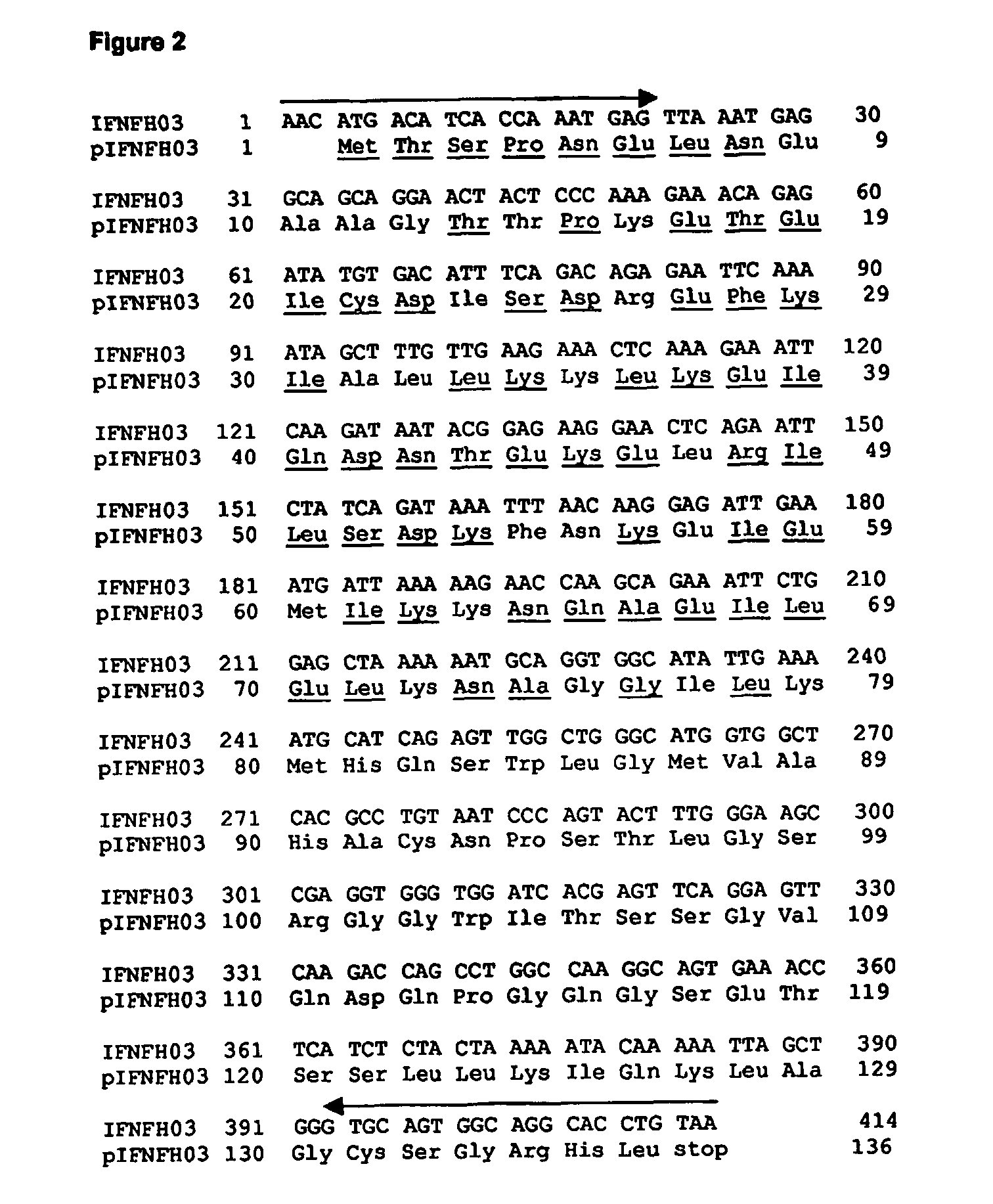 Novel IFNgamma-like polypeptides