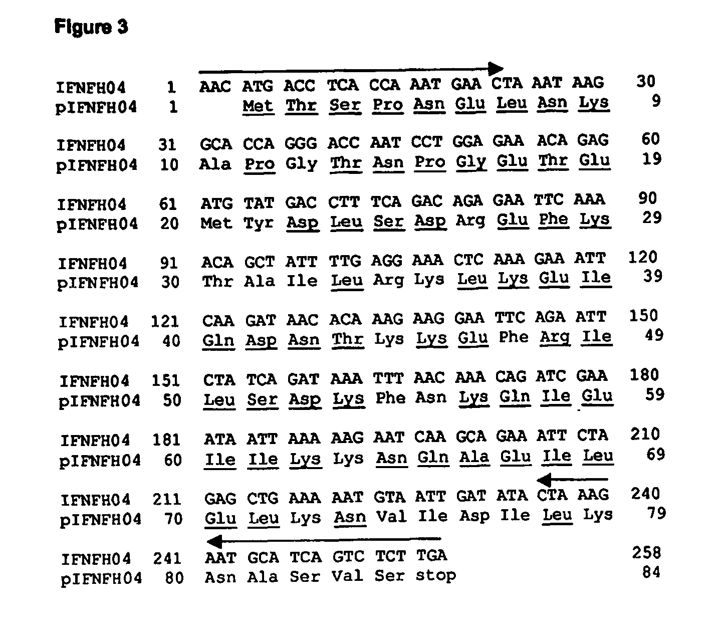 Novel IFNgamma-like polypeptides