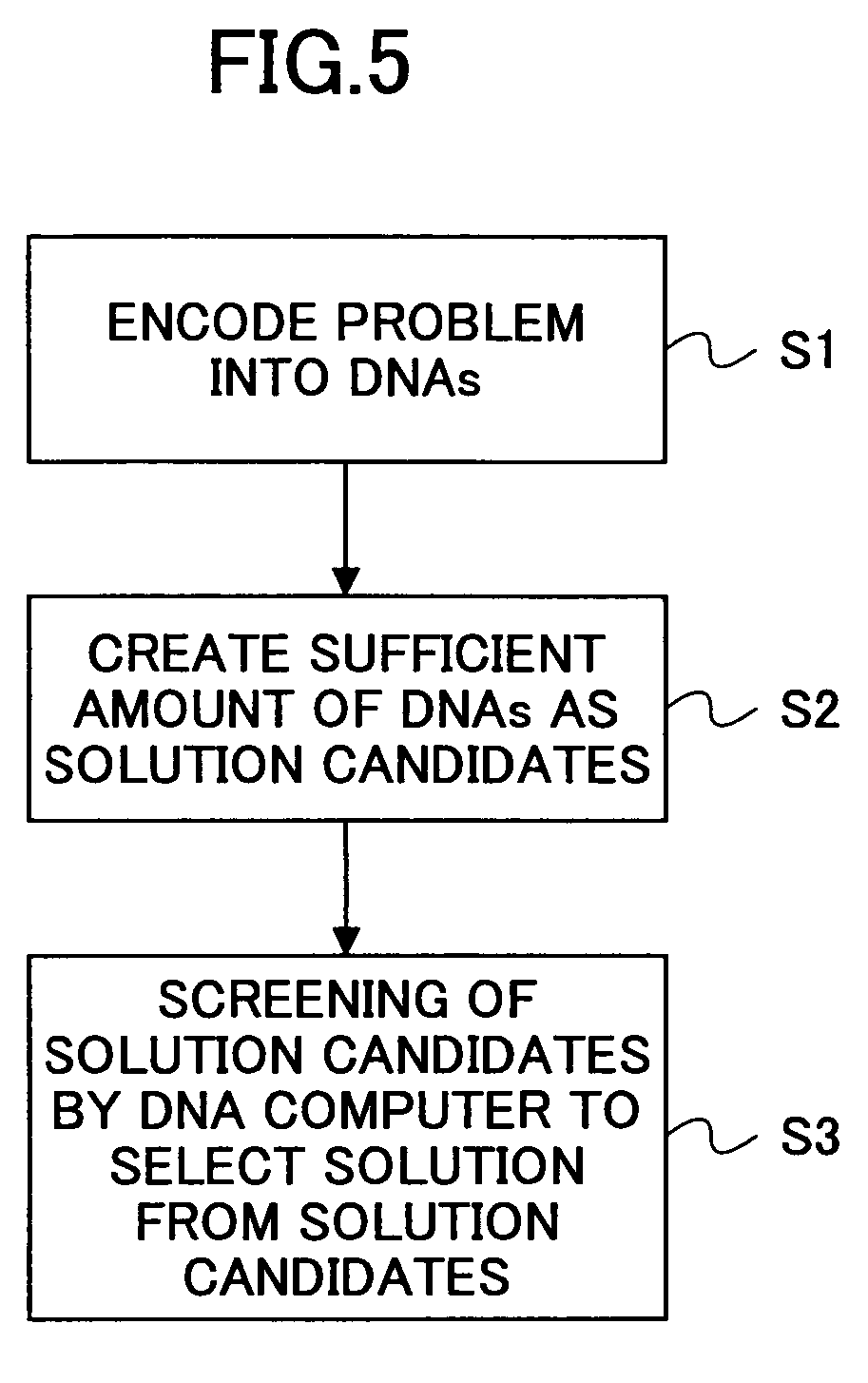 DNA computer and a computation method using the same