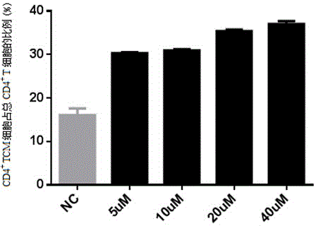 Application of ampicillin in in-vitro amplification of central memory T cells