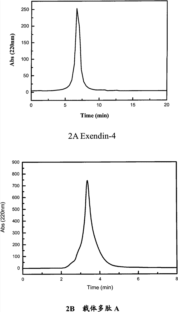 Polypeptide compound, pharmaceutical composition, its preparation method and application thereof