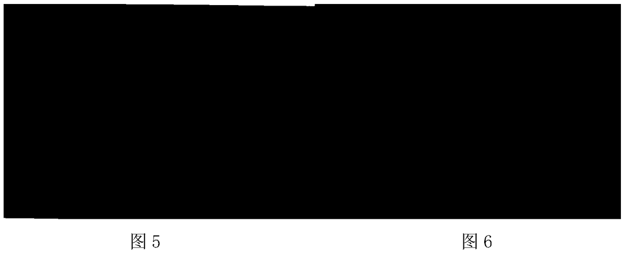 Externally applied traditional Chinese medicine composition with anti-acne effect, phospholipid complex, preparation method and application thereof