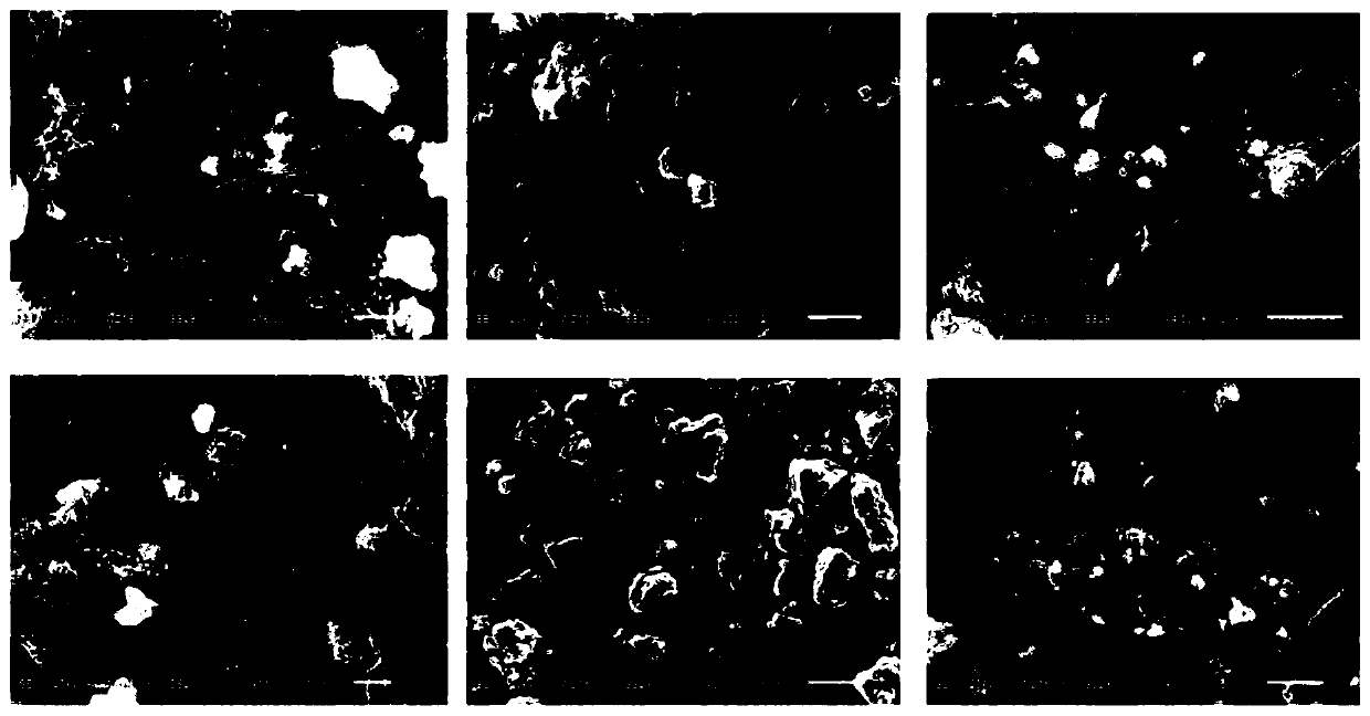 Preparation method for solid fluoride ion battery at room temperature based on tin-based fluoride MSnF4 laminated fluoride ion electrolyte