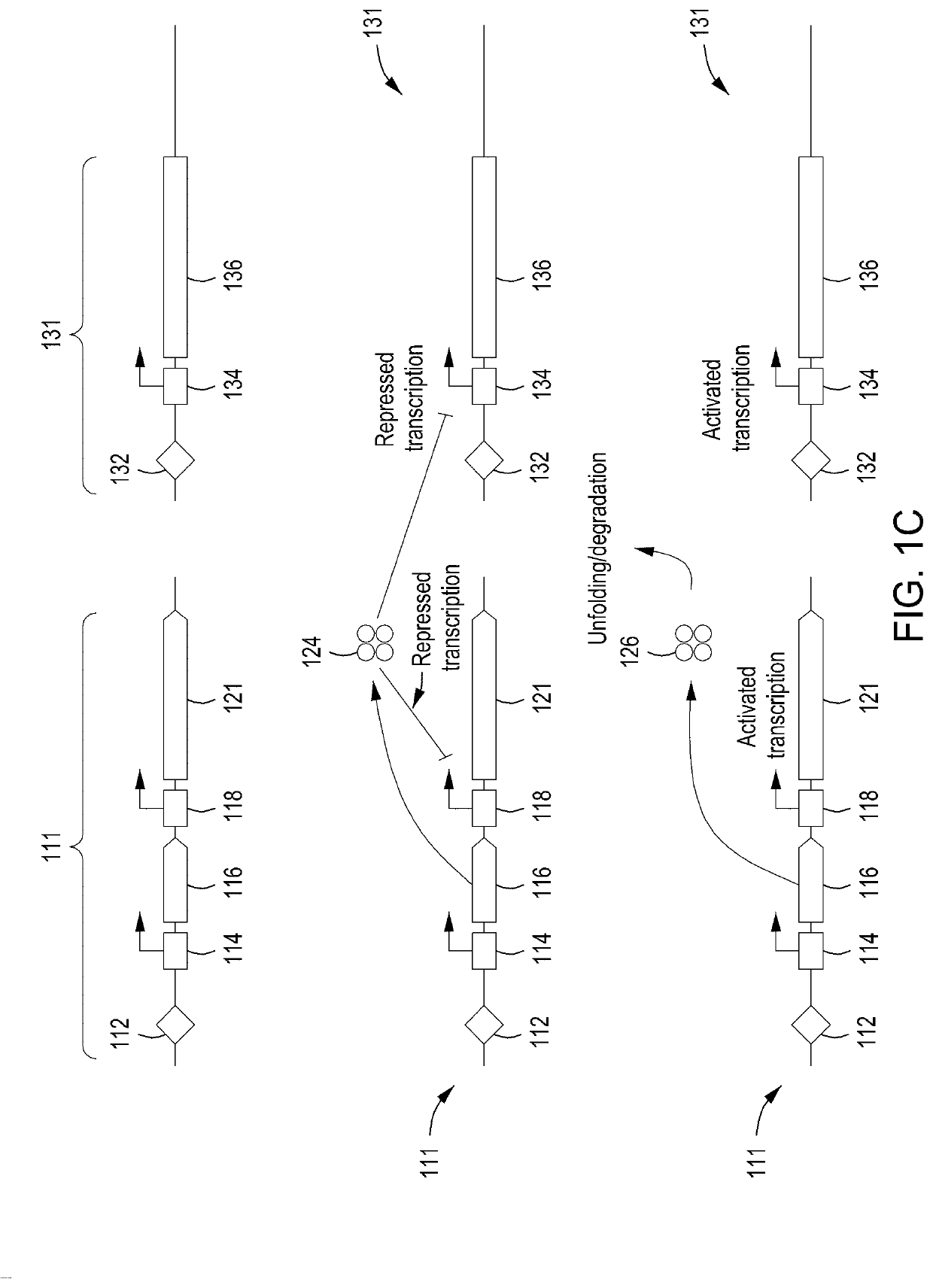 Instruments, modules, and methods for improved detection of edited sequences in live cells