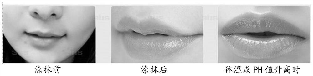 A kind of discoloration lip balm with repairing effect and preparation method thereof