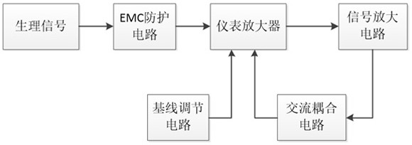 Electroencephalogram acquisition system