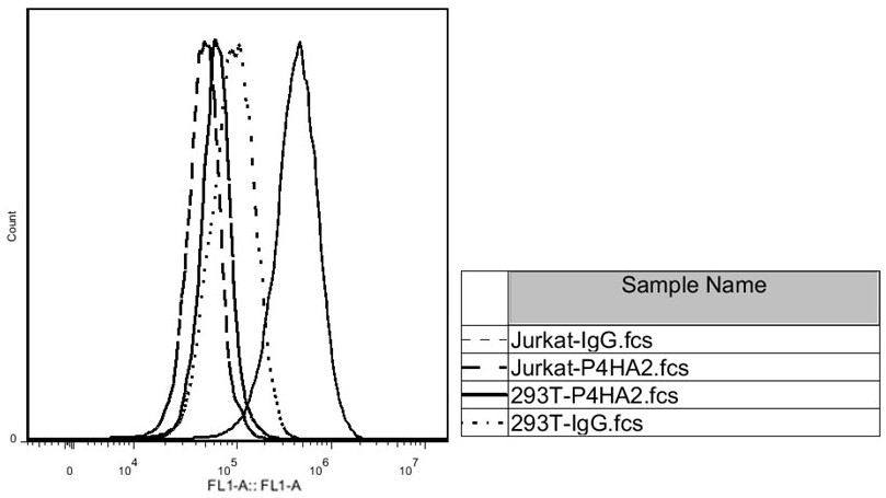 b Lymphoma and leukemia detection markers, kits and applications thereof