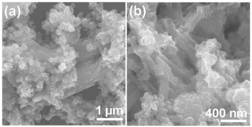 A kind of molybdenum disulfide/gold/nitrogen-doped carbon nanotube composite and its preparation method and application