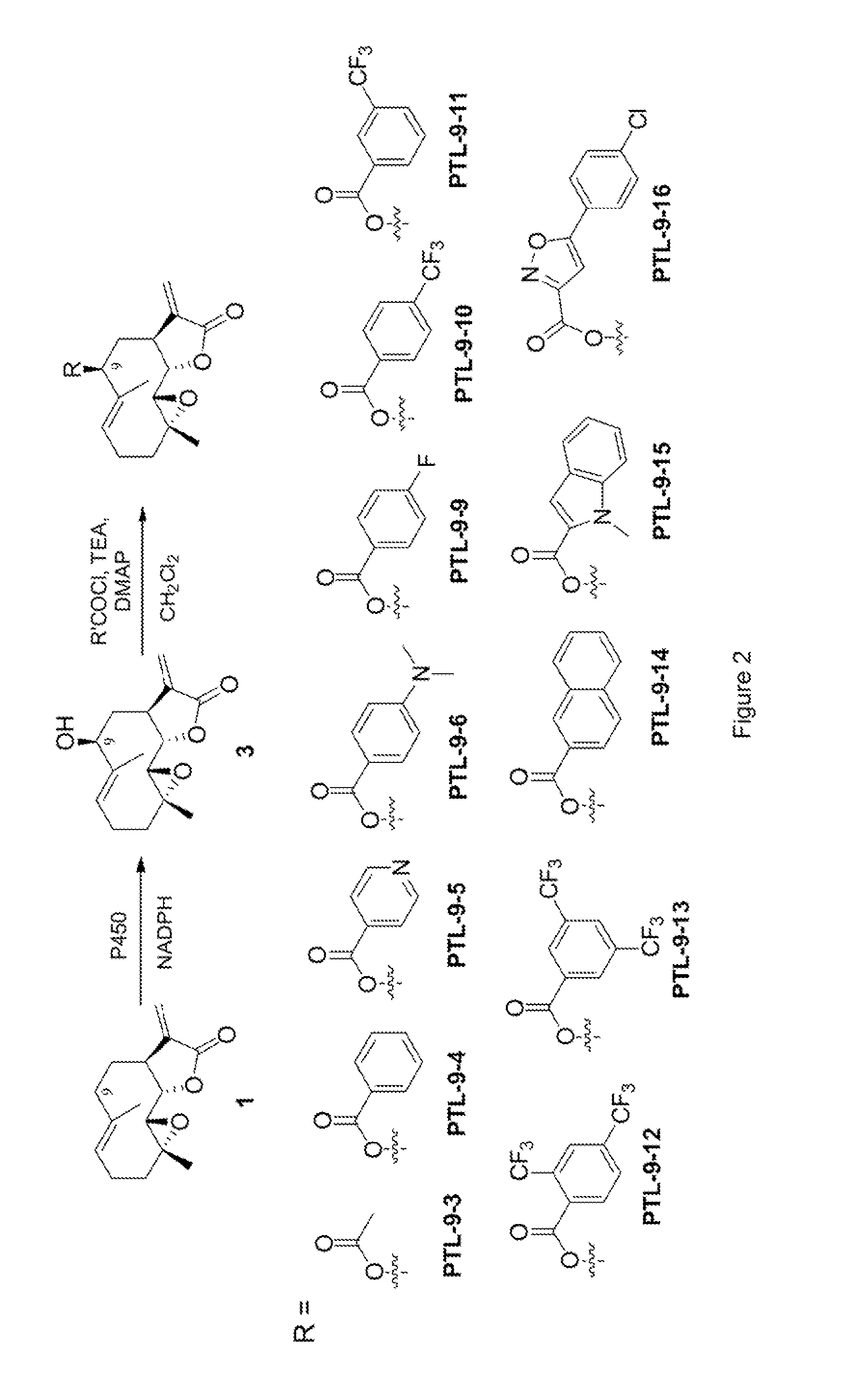 Parthenolide derivatives, methods for their preparation and their use as anticancer agents