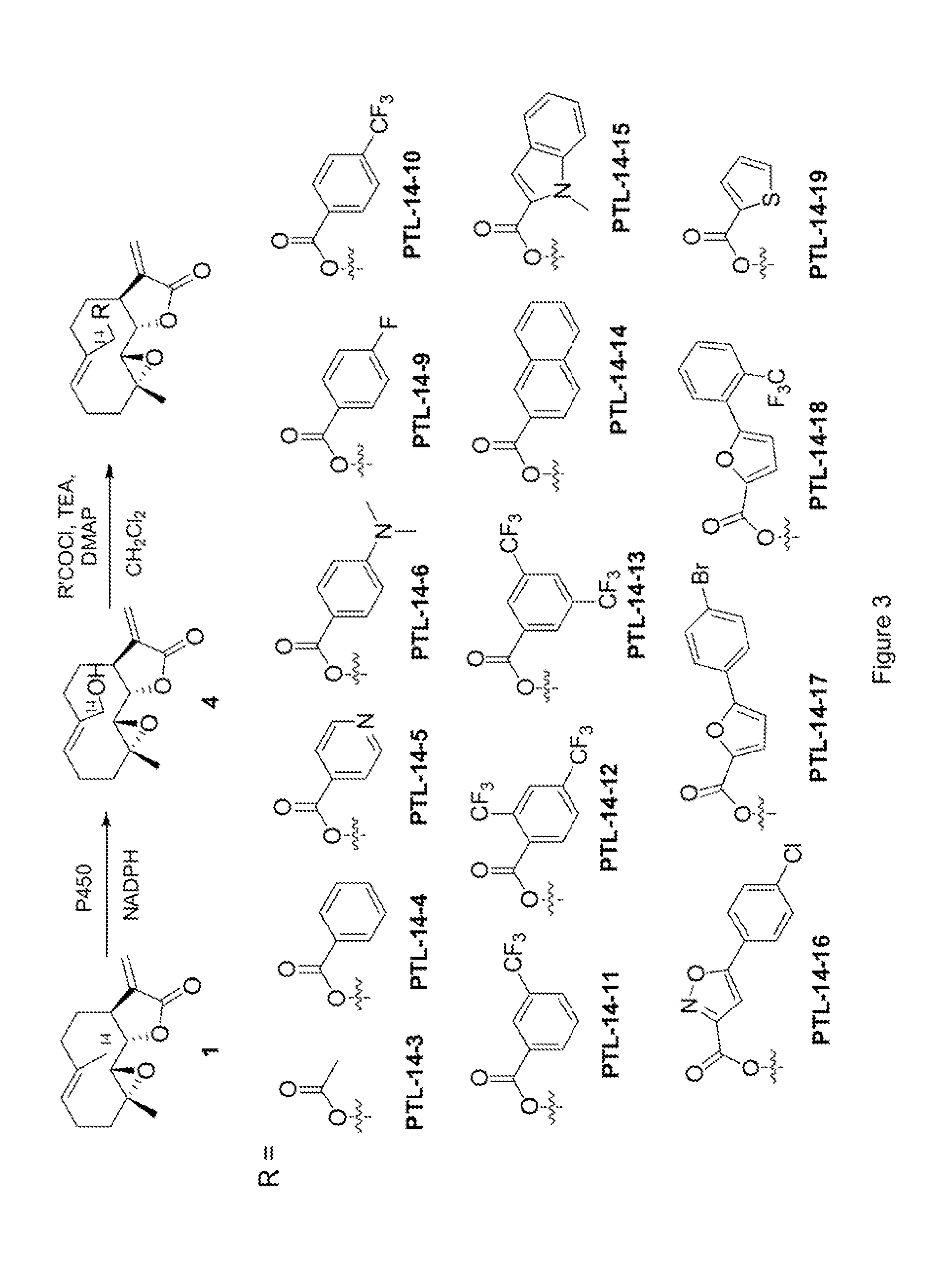 Parthenolide derivatives, methods for their preparation and their use as anticancer agents