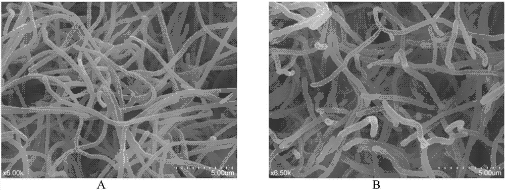 Nematicidal streptomyces albidoflavus and application thereof