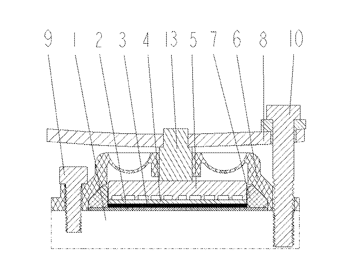 Electrolytic Ozone Generator with Membrane Electrode