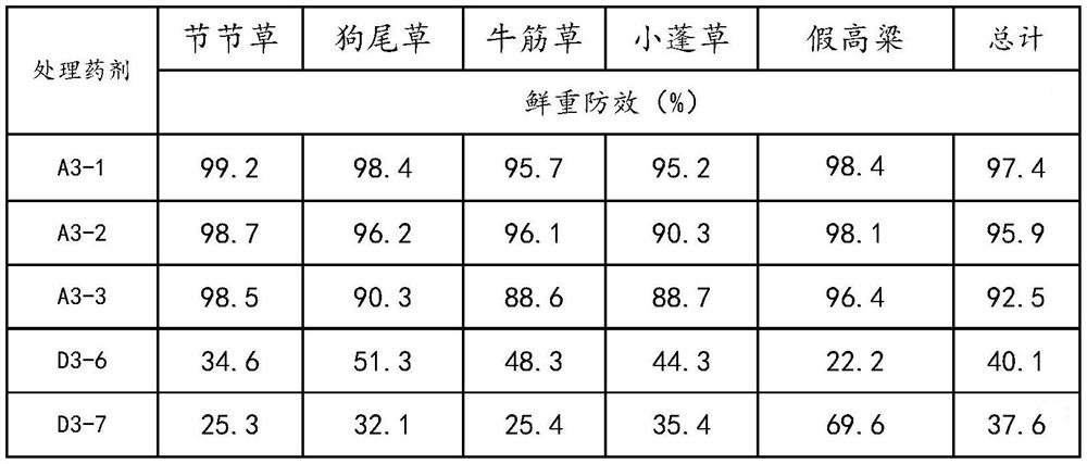 Herbicide composition used along railway and application thereof