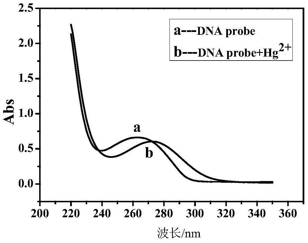 Method for detecting mercury ions based on Silica/chitosan/Ru nanoparticle electrochemiluminescence method