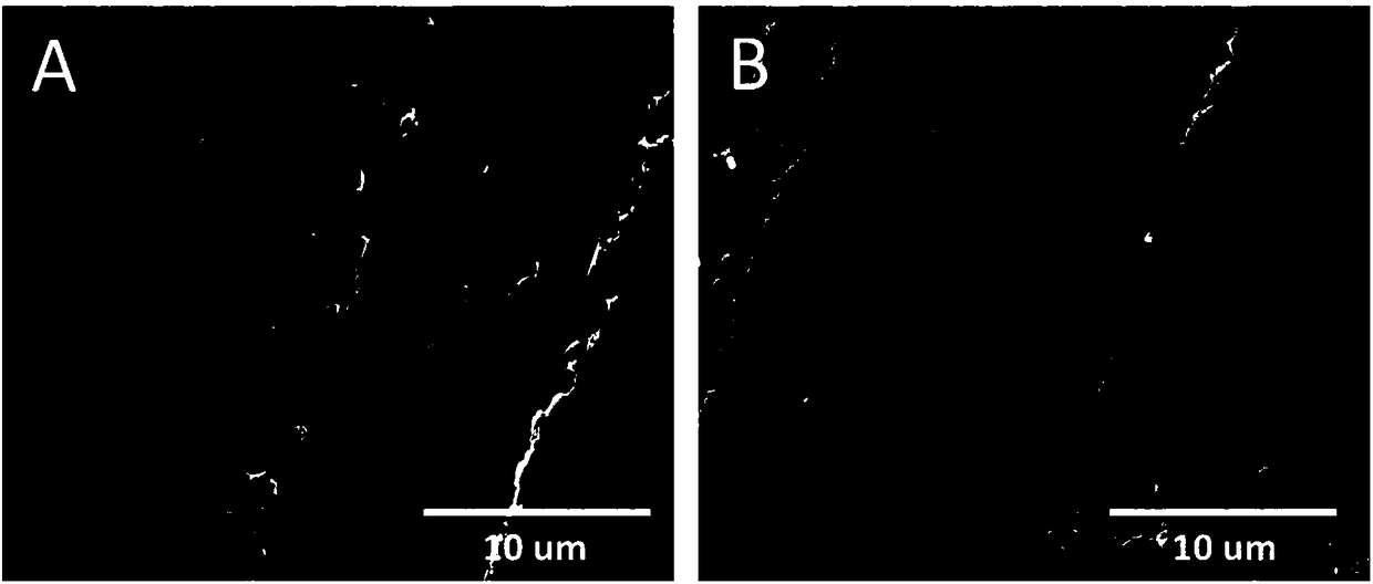 A kind of method and application of regulating biological activity and bacteriostasis performance of silicon nitride ceramics