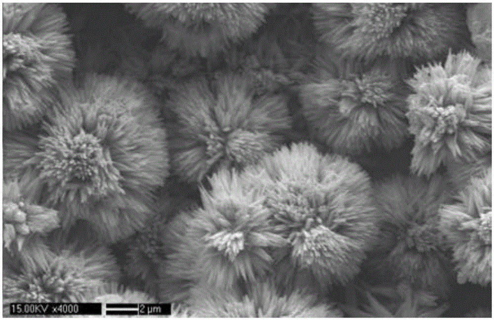 Surface-enhanced Raman scattering substrate and its preparation method and application