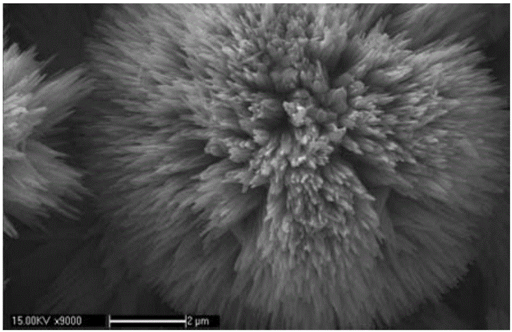 Surface-enhanced Raman scattering substrate and its preparation method and application