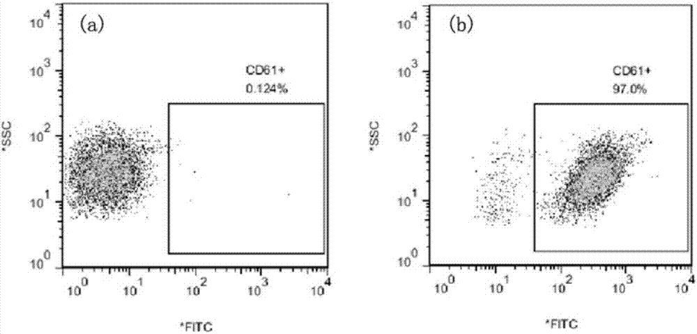 Mouse anti-human CD61 monoclonal antibody hybridoma cell line, monoclonal antibody and preparation method and application thereof and flow cytometry detection reagent