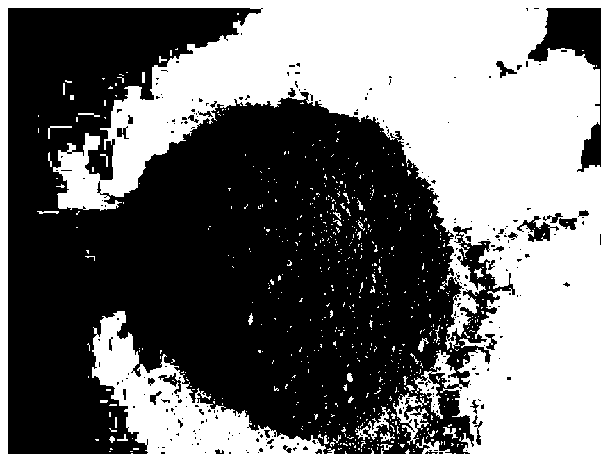 Preparation method of white slag admixture