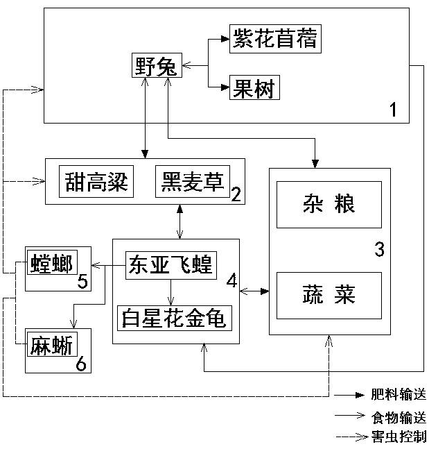 Natural-circulation whole-ecological efficient farm and biological-resource natural circulation utilization method