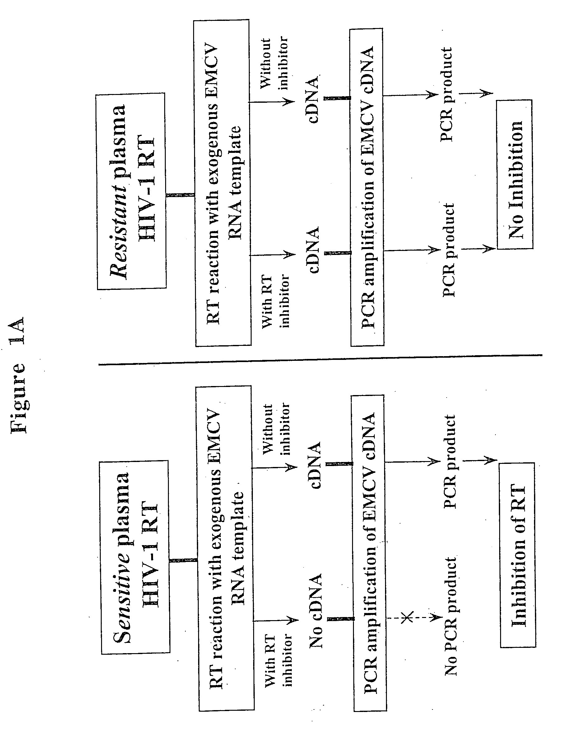Method and kit for detecting resistance to anitviral drugs