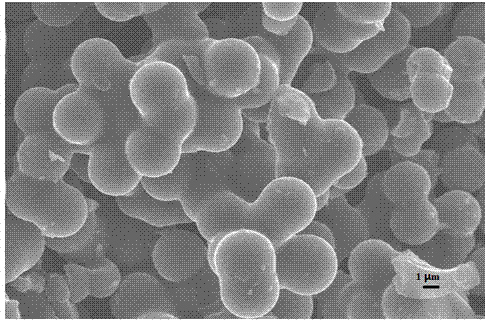 Negative electrode material phosphorus-sulfur double-doped hard carbon microsphere for sodium ion battery and preparation method of negative electrode material