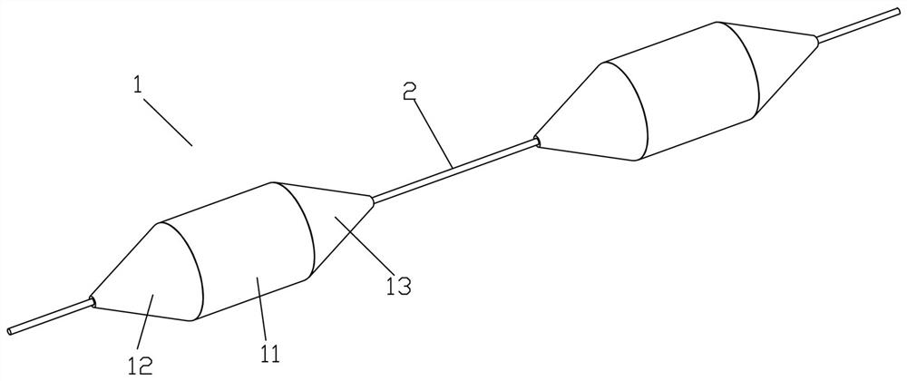 Chain type submarine earthquake monitoring device